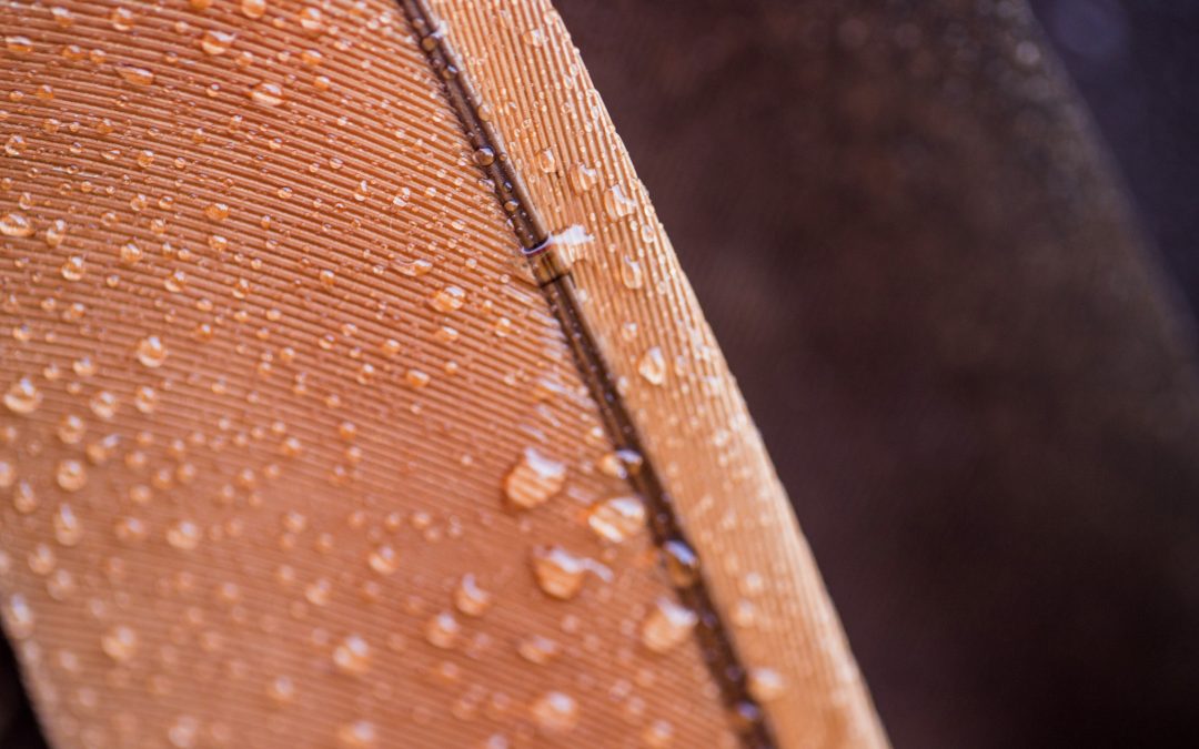 How to Care for Waterproof Fabric to Make Them Last Longer? 